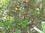 IMG_4809.JPG