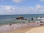 IMG_4831.JPG