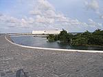 IMG_4839.JPG