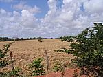 IMG_4845.JPG