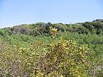 IMG_4847.JPG