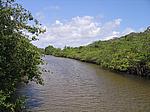 IMG_4848.JPG