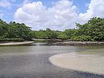 IMG_4860.JPG