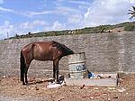 IMG_4865.JPG