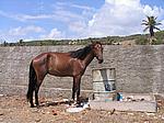 IMG_4866.JPG