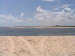 IMG_4867.JPG