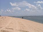 IMG_4869.JPG