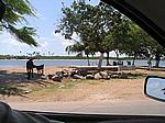 IMG_4872.JPG
