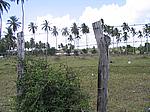 IMG_4876.JPG