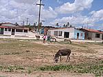 IMG_4881.JPG