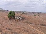 IMG_4884.JPG