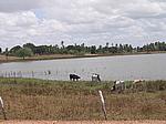 IMG_4887.JPG