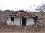 IMG_4888.JPG