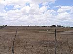 IMG_4889.JPG