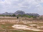 IMG_4892.JPG