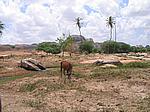 IMG_4893.JPG