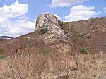 IMG_4901.JPG