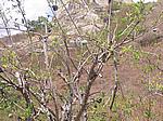 IMG_4902.JPG
