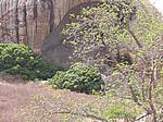 IMG_4908.JPG