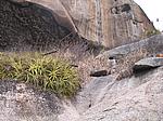 IMG_4914.JPG