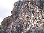 IMG_4931.JPG