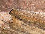IMG_4934.JPG
