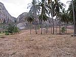 IMG_4962.JPG