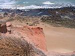 IMG_4973.JPG