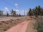 IMG_4976.JPG