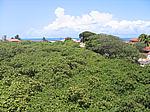 IMG_4983.JPG