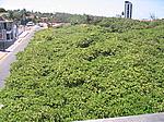 IMG_4984.JPG