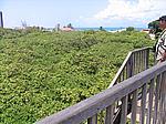 IMG_4985.JPG