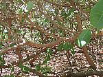 IMG_4989.JPG