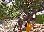 IMG_4990.JPG
