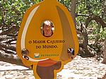 IMG_4992.JPG