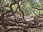 IMG_4995.JPG
