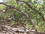 IMG_4996.JPG