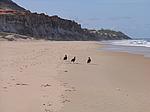 IMG_5015.JPG
