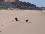 IMG_5016.JPG