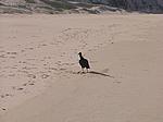 IMG_5018.JPG