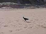 IMG_5019.JPG