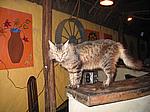 IMG_5021.JPG