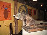 IMG_5022.JPG