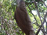 IMG_5038.JPG