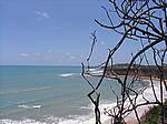 IMG_5051.JPG